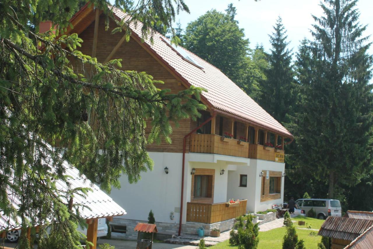 Arnica Montana Hotel Arieşeni Exterior foto