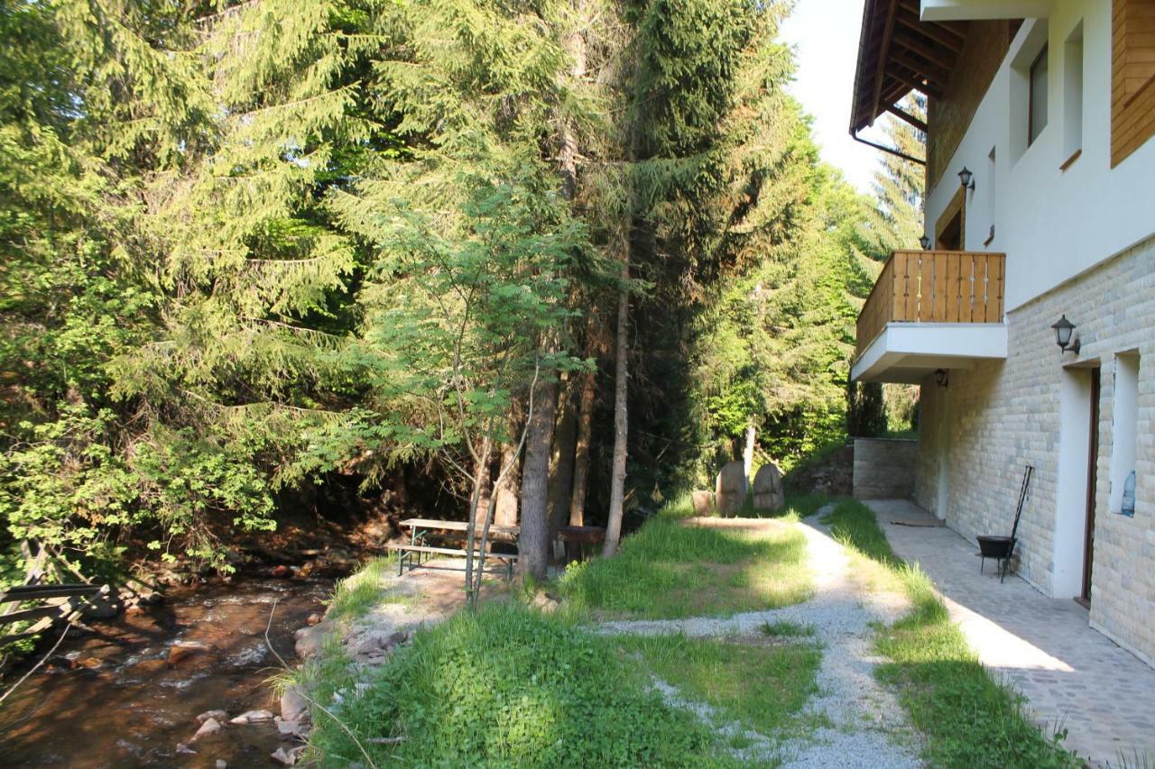 Arnica Montana Hotel Arieşeni Exterior foto