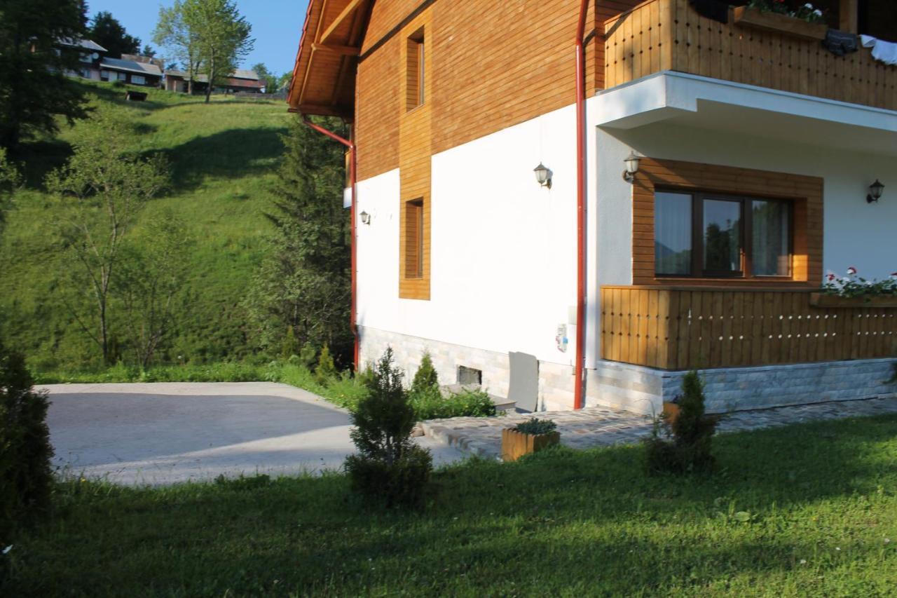 Arnica Montana Hotel Arieşeni Exterior foto