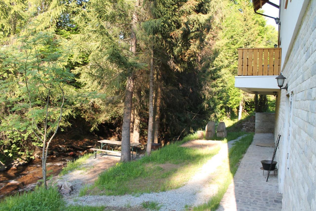 Arnica Montana Hotel Arieşeni Exterior foto